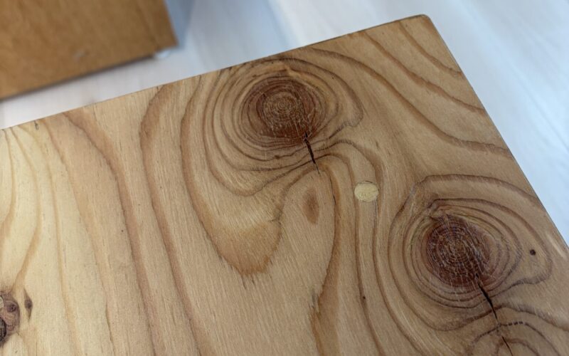 【値段の差は?】2026/01/01 サムネイル